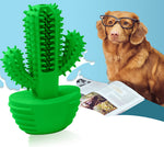 Load image into Gallery viewer, Cactus Shape Dog Toothbrush Stick Puppy Dental Care Brushing Stick Effective Doggy Teeth Cleaning Massager Natural Rubber Bite Resistant Chew Toys - Green
