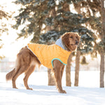 Load image into Gallery viewer, Winter Sailor Parka - Yellow
