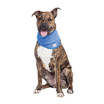 Load image into Gallery viewer, ICE BAND - Dog Cooling Bandana
