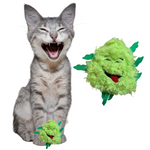 Load image into Gallery viewer, Bud Jr. The Weed Nug Cat Toy
