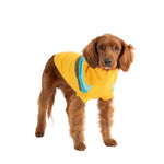 Load image into Gallery viewer, Alpine Sweater - Yellow

